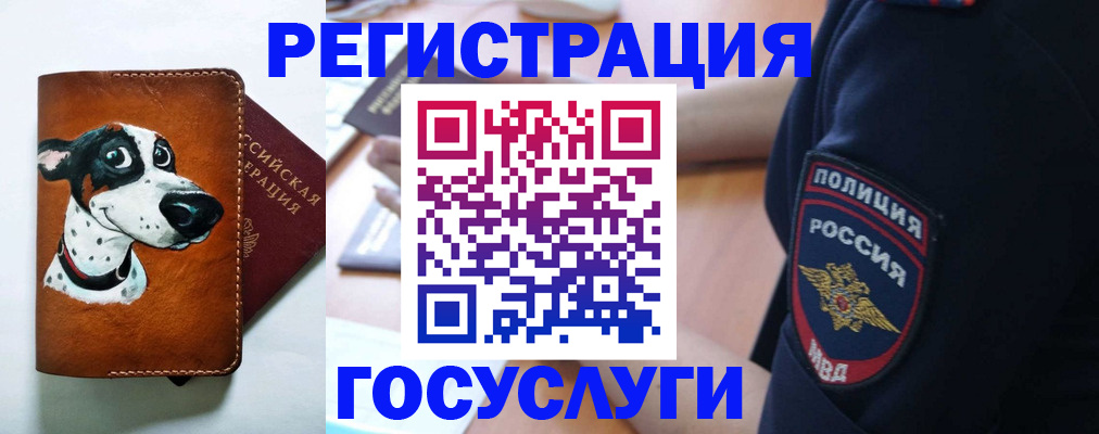 временная регистрация в квартире в Дмитрове